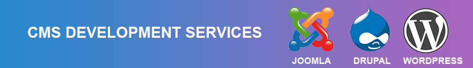 content management system
